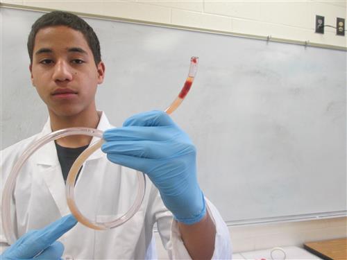 Our STEAM Club Member Michael with his work on atherosclerosis, modeling how blood clot is formed 