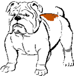 dms mascot 