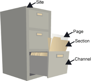 Site layout 