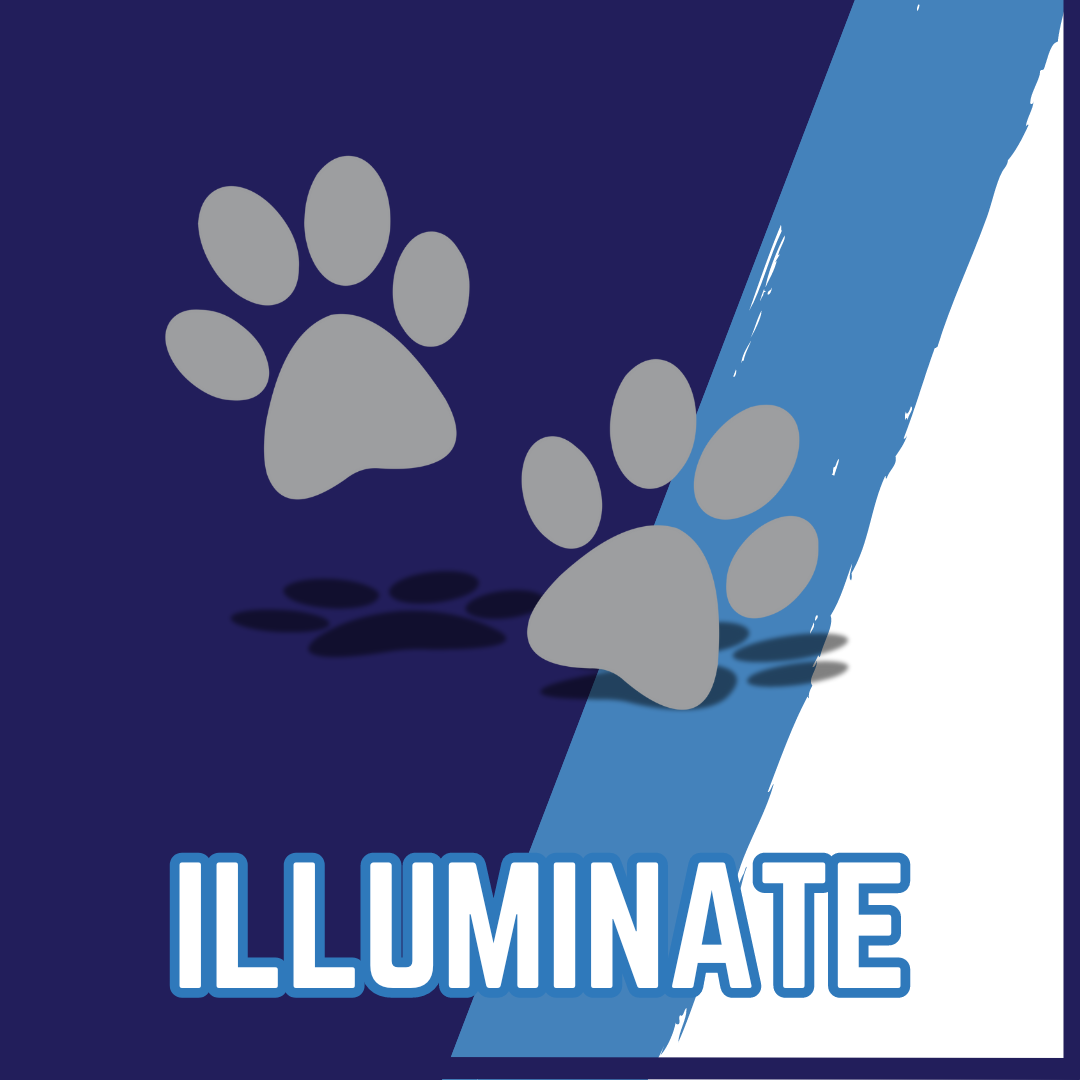 ILLUMINATE SCHOLAR LOGIN