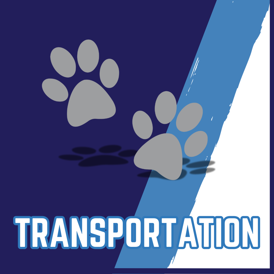 TRANSPORTATION