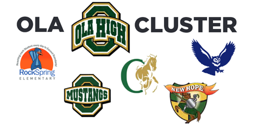 Ola Cluster